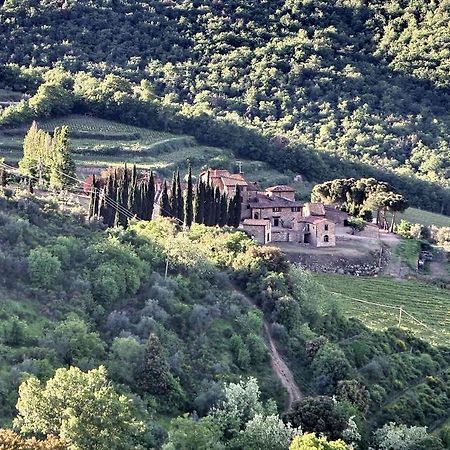 Гостьовий будинок Residenza Antico Chianti Panzano in Chianti Екстер'єр фото