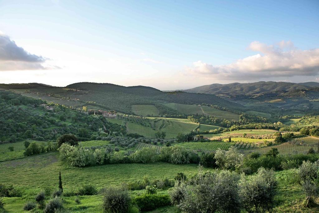 Гостьовий будинок Residenza Antico Chianti Panzano in Chianti Екстер'єр фото