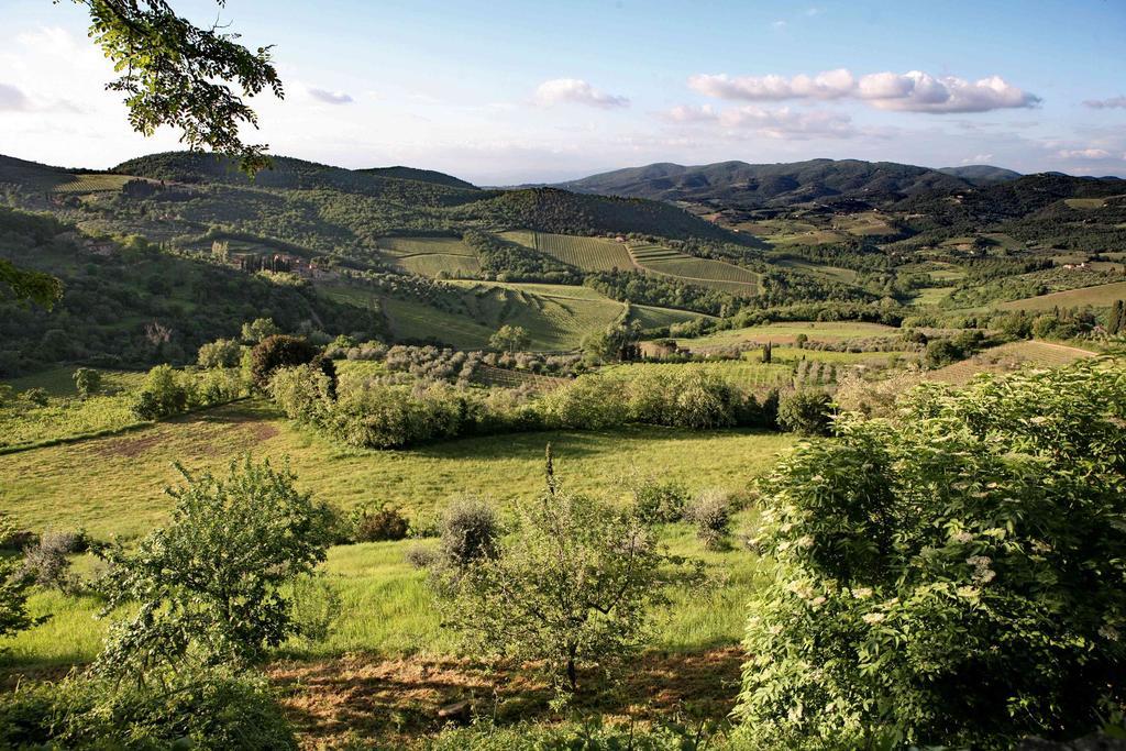 Гостьовий будинок Residenza Antico Chianti Panzano in Chianti Екстер'єр фото